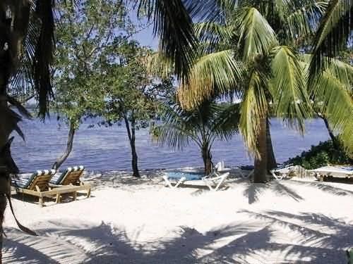 Banana Bay Resort (Adults Only) คีย์เวสต์ ภายนอก รูปภาพ